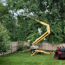 Best Commercial Tree Services  in Woodland Hills, UT